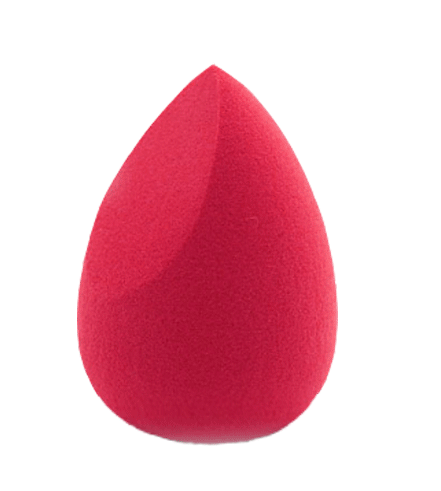 Hydrophilic Beauty Blender Set